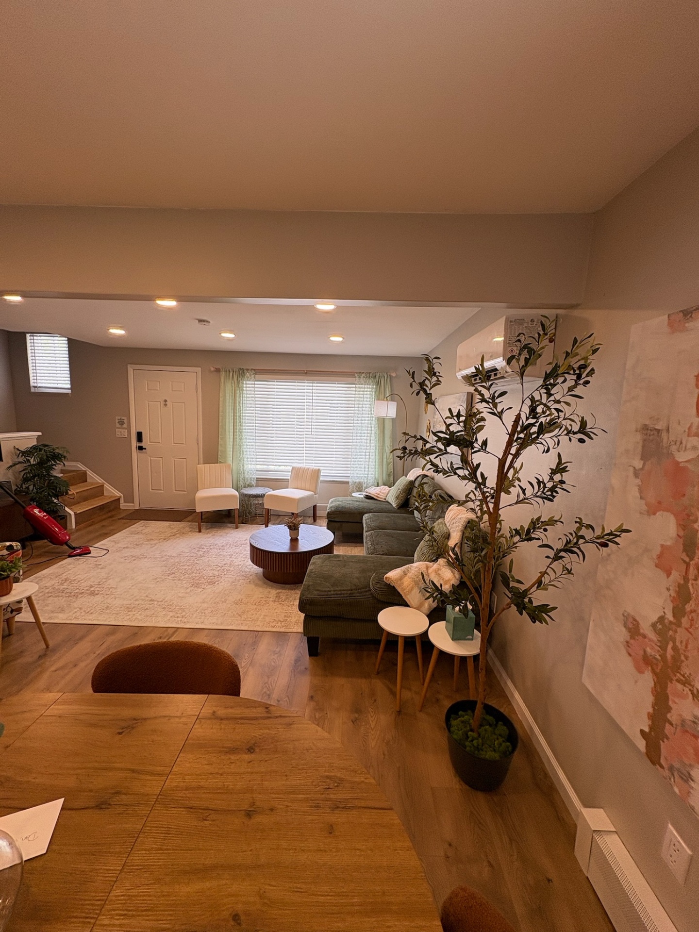 Living room TV wall and entryway